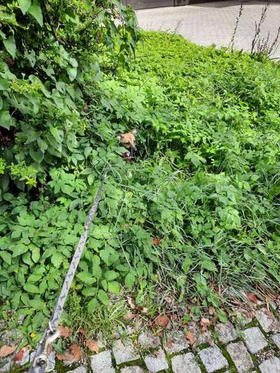 Ängstlichkeit-Beitrag-Bild