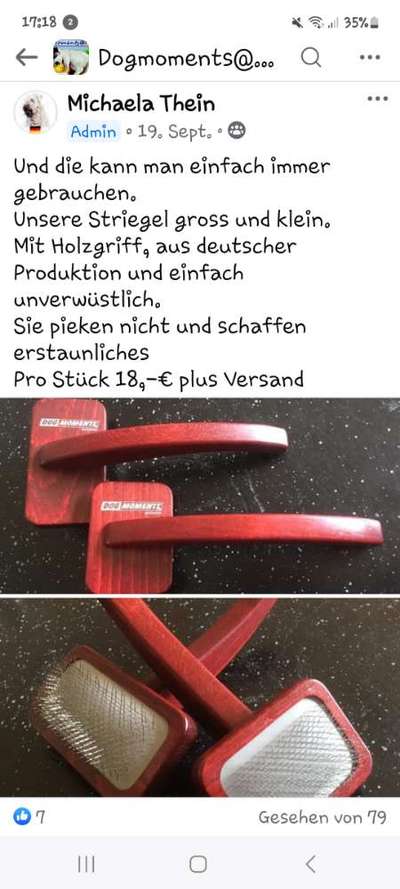 Gibt es hier Irish Soft Coated Wheaten Terrier Besitzer?-Beitrag-Bild