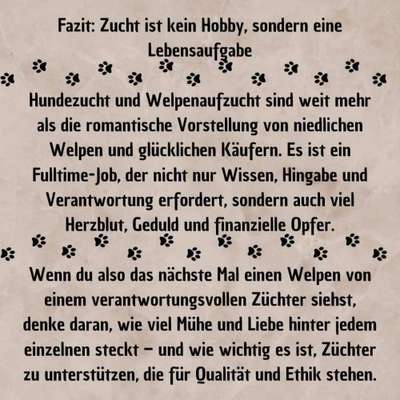 Neue Trendrasse - Bullydor und co.-Beitrag-Bild