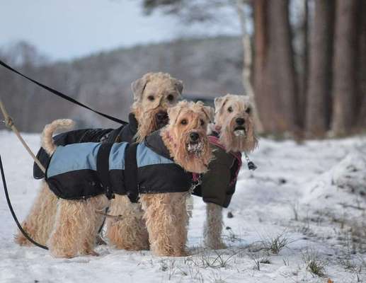 Wintermäntel bzw. Was fürn Übergang-Beitrag-Bild