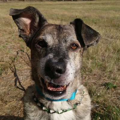 Her mit dem Grimassen-Beitrag-Bild