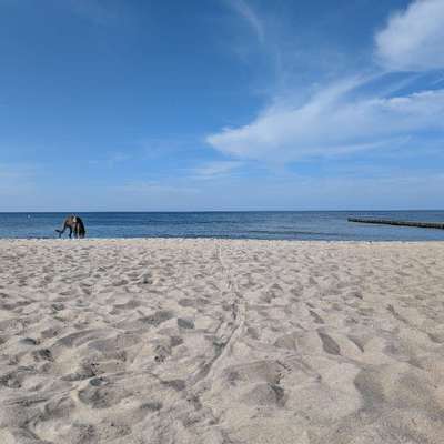 Hundeauslaufgebiet-Hundestrand (Strandzugang 18 -19)-Bild