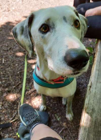 Fotochallange Nr. 57     PORTRÄT.   Beendet!!!!!!!!-Beitrag-Bild