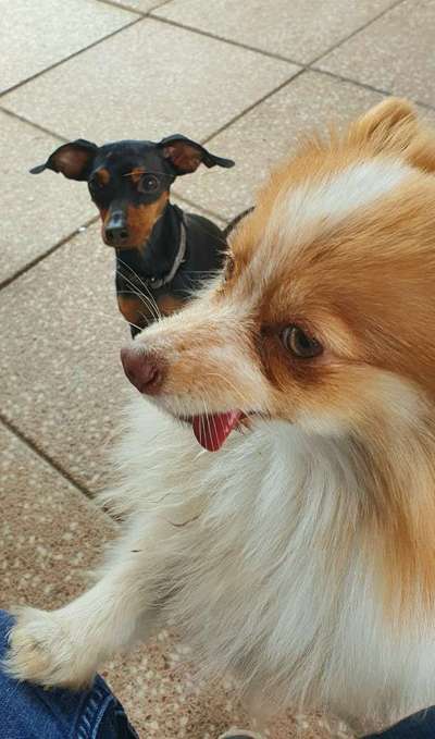 Her mit dem Grimassen-Beitrag-Bild