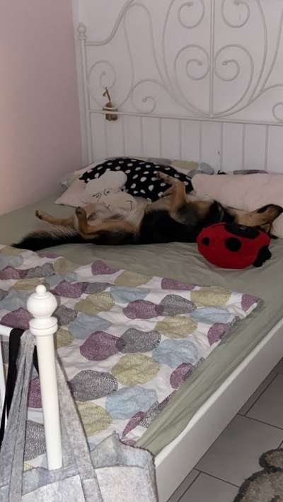 FOTO-Challenge  NR. 91: Die pure Entspannung-Beitrag-Bild