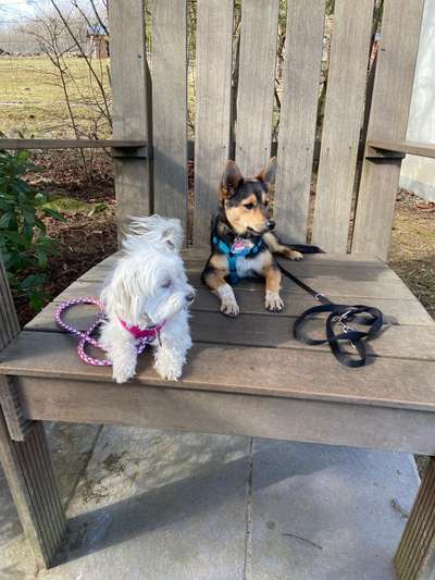 Theos Fotochallenge Nr. 3-Beitrag-Bild