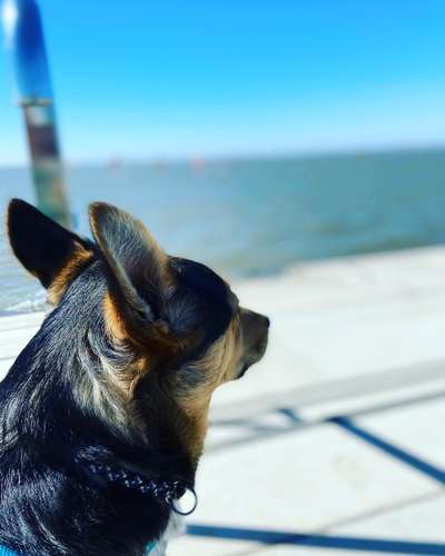 Foto-Challange No.1 - Alles aber nicht die Kamera-Beitrag-Bild