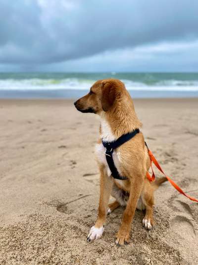 FOTOCHALLENGE 86-Beitrag-Bild