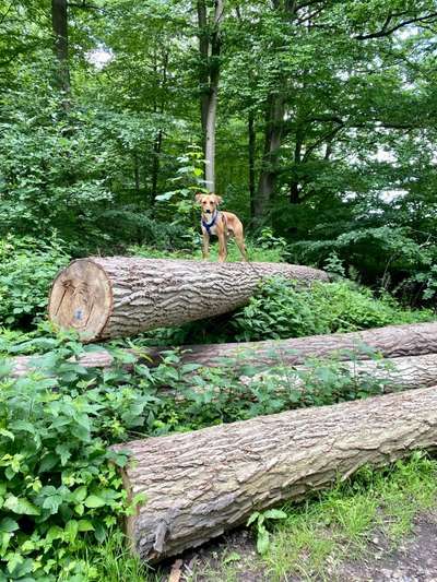 Theos Fotochallenge Nr. 3-Beitrag-Bild