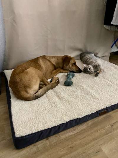 Fotowettbewerbe-Beitrag-Bild