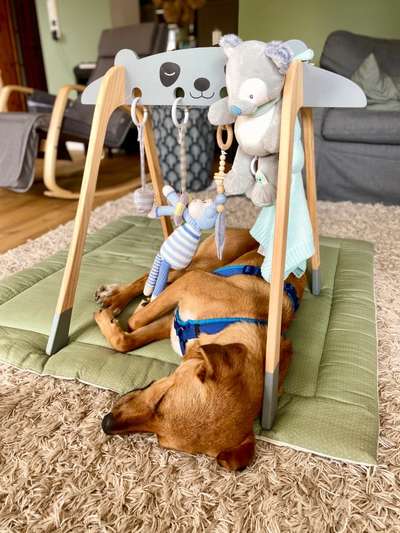 FOTO-Challenge  NR. 91: Die pure Entspannung-Beitrag-Bild