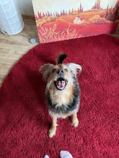 Lieblings Schnappschuss?-Beitrag-Bild