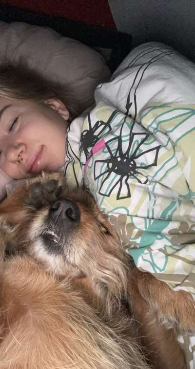 Die lustigsten Selfies mit Deinem Hund !-Beitrag-Bild