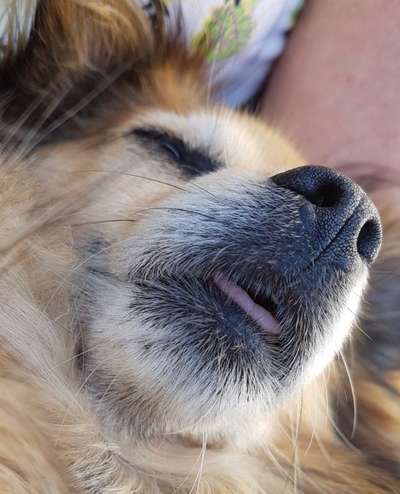 Blick fürs Detail!-Beitrag-Bild