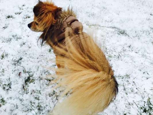 Fotochallenge Nr 50 Vom Winde verweht-Beitrag-Bild