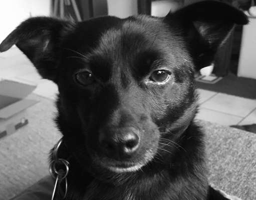 Fotochallange Nr. 57     PORTRÄT.   Beendet!!!!!!!!-Beitrag-Bild