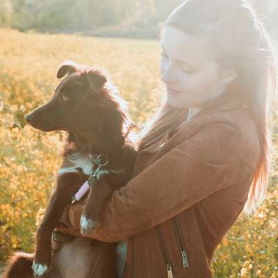 Hundetreffen-Spaziergang mit ggf. Spielpause