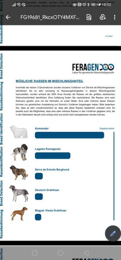 Mischlingshunde Foto Aufruf-Beitrag-Bild