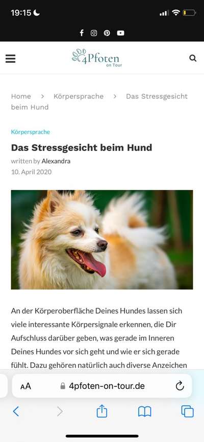 Immer lächeln !-Beitrag-Bild