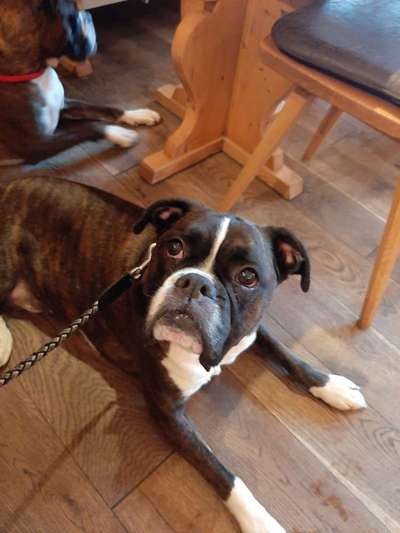 Fotochallenge Nr. 56 - geliebte Senioren-Beitrag-Bild