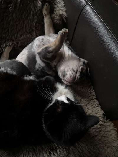 CHALLENGE Nr.17-Beitrag-Bild