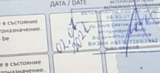 Hund aus Bulgarien ?-Beitrag-Bild