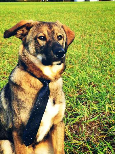 Zeigt mir eure Lieblingsfotos ♡♡-Beitrag-Bild