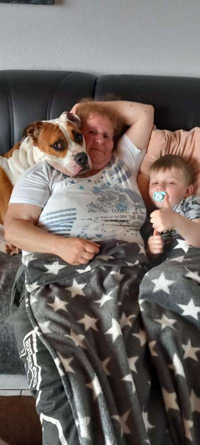 Kinder und Hunde-Beitrag-Bild