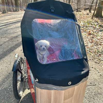 Fahrradkorb-Beitrag-Bild