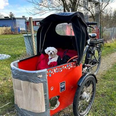 Fahrradkorb-Beitrag-Bild