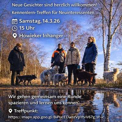 Hundetreffen-Kennenlerntreffen für Neuinteressenten-Bild