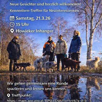 Hundetreffen-Treffen zum kennenlernen-Bild