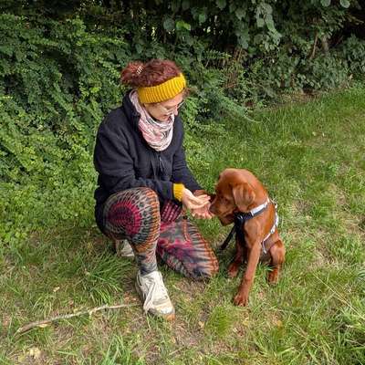 Krissi's Profilbild