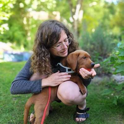 Krissi's Profilbild