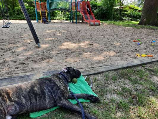 Impulskontrolle Challenge Nr.: 7
         "Gesellschaftsfähig"-Beitrag-Bild