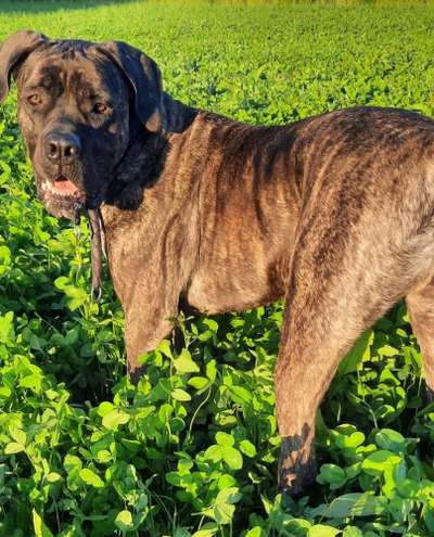 Fotochallenge 87: Im Park-Beitrag-Bild