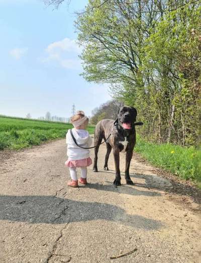 Fotochallenge 78

Es grünt und blüht-Beitrag-Bild