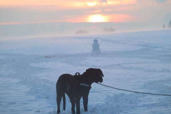 Die Dogorama Kalender Challenge Teil 2/4-Beitrag-Bild