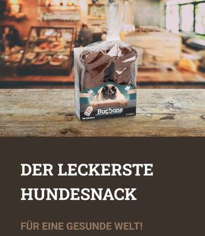 %{de_profession_title}-BUGBONE Der überraschendste Hundesnack-Bild