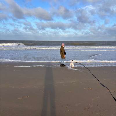 Hundetreffen-Kennenlernen & spielen ☺️