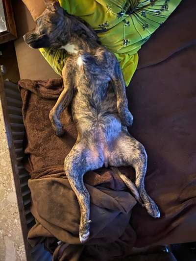 FOTO-Challenge  NR. 91: Die pure Entspannung-Beitrag-Bild