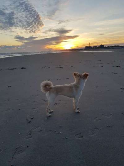 Postet eure schönsten Bilder von Spaziergängen in 2020!-Beitrag-Bild