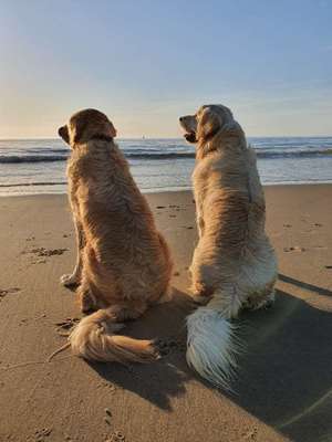 Urlaub am Meee-Beitrag-Bild