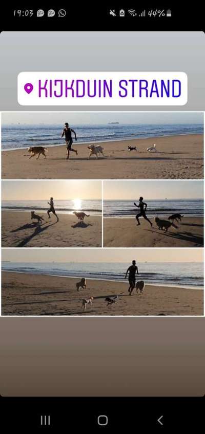 Postet eure schönsten Bilder von Spaziergängen in 2020!-Beitrag-Bild