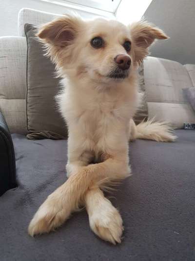 Lustige Bilder-Beitrag-Bild