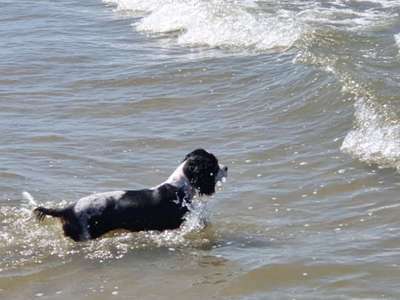 Urlaub am Meee-Beitrag-Bild