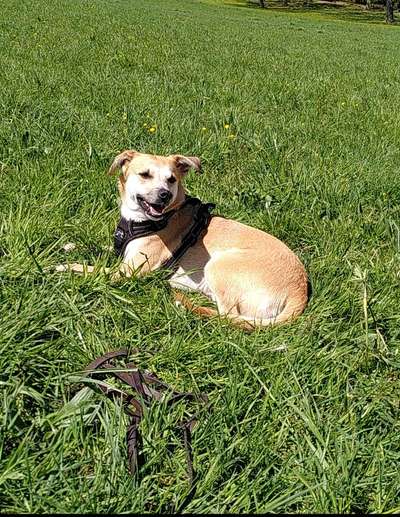 Fotochallenge 78

Es grünt und blüht-Beitrag-Bild