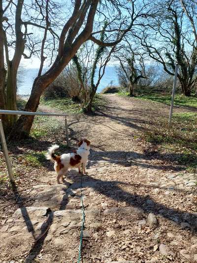 Theos  Fotochallenge Nummer 2-Beitrag-Bild