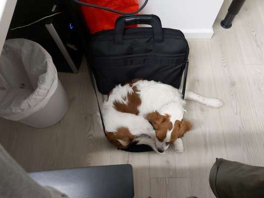 3. Ein besonderes Merkmal-Beitrag-Bild