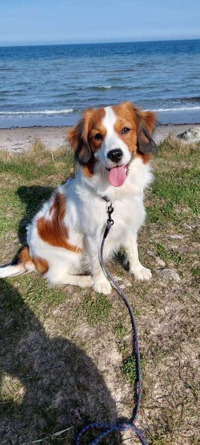 Fotowettbewerb Natur-Beitrag-Bild